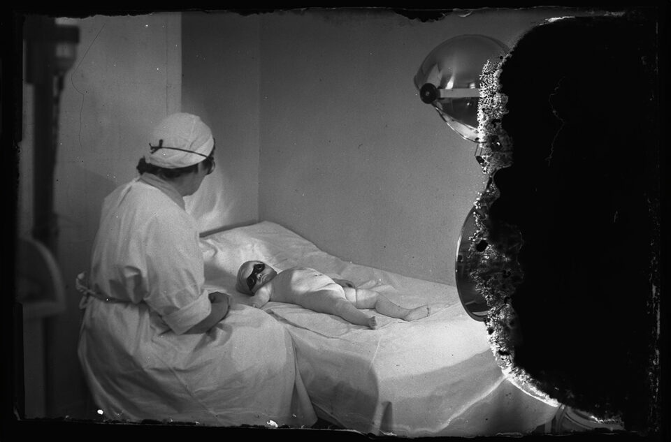 pexels-csongor-keGFDaaaaaaa